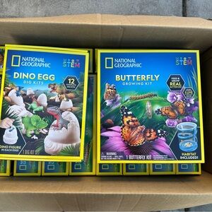 National Geographic Dino Egg and Butterfly Kits - Vibrant Green and Purple